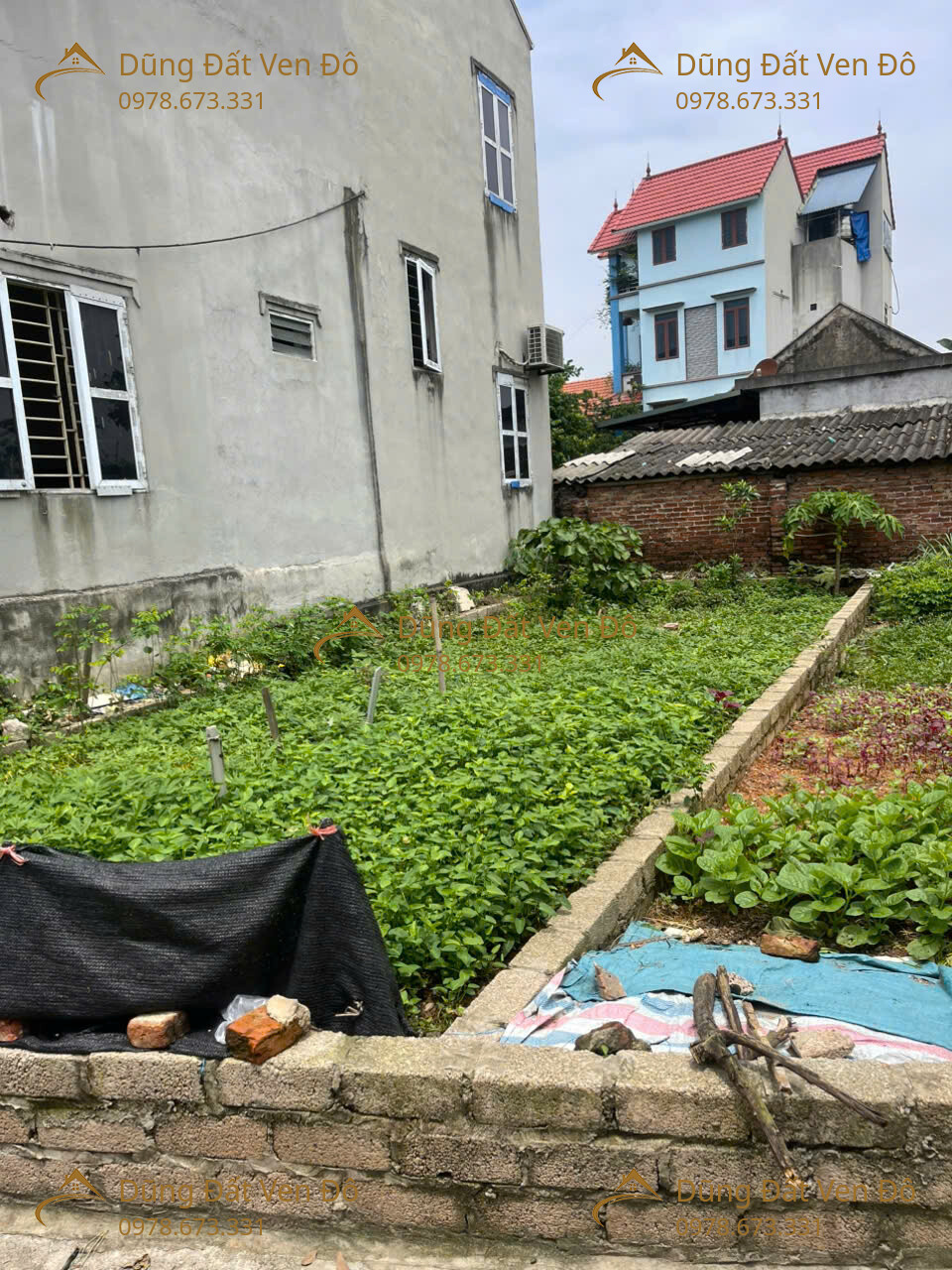 52,5M TRUNG HÒA-CHƯƠNG MỸ-HÀ NỘI 16005255