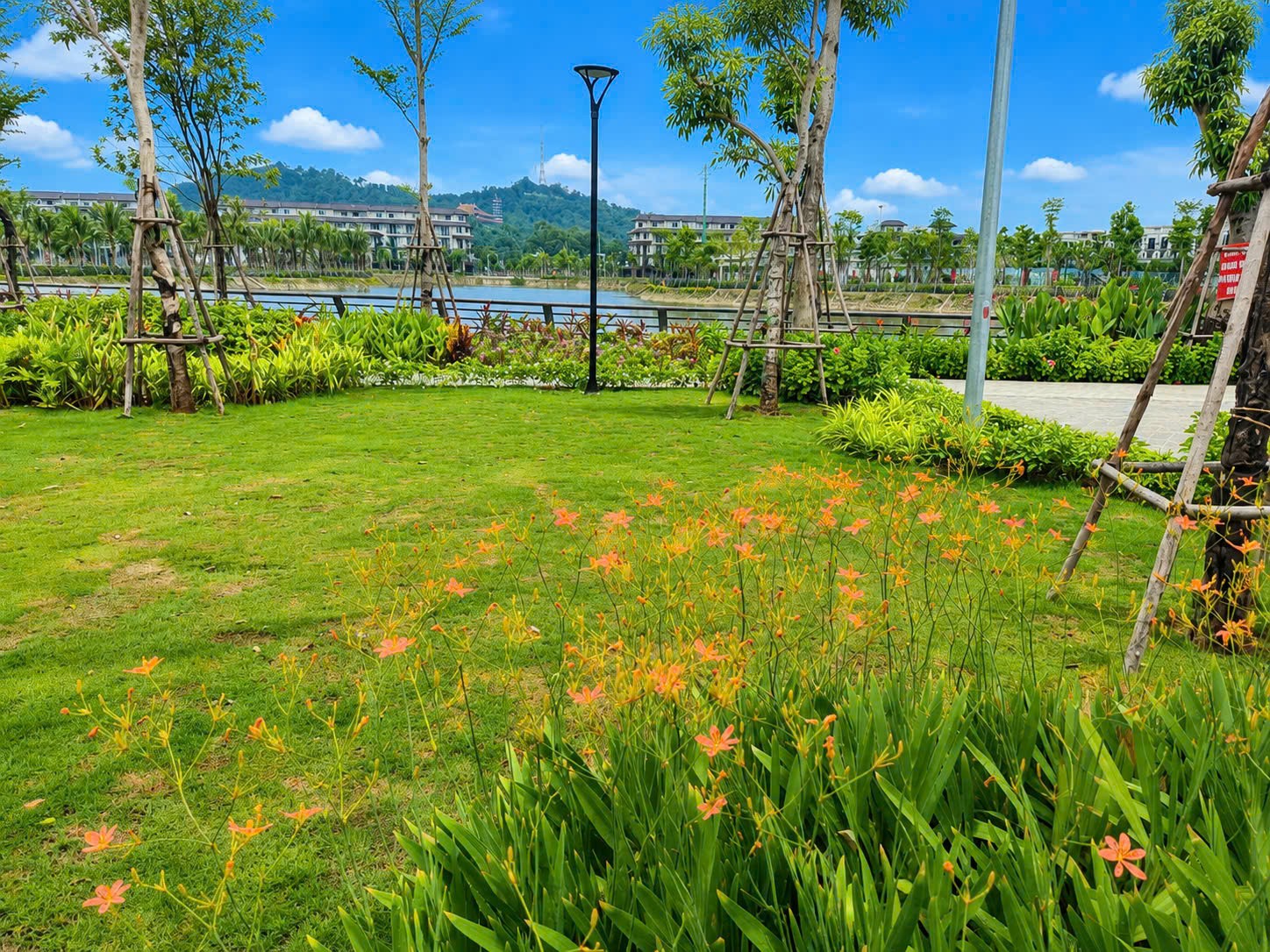 BÁN ĐẤT NỀN HERAGON CITY TP THANH HÓA – VỊ TRÍ KIM CƯƠNG VEN SÔNG MÃ, GIÁ GỐC ĐỢT 1 16005261