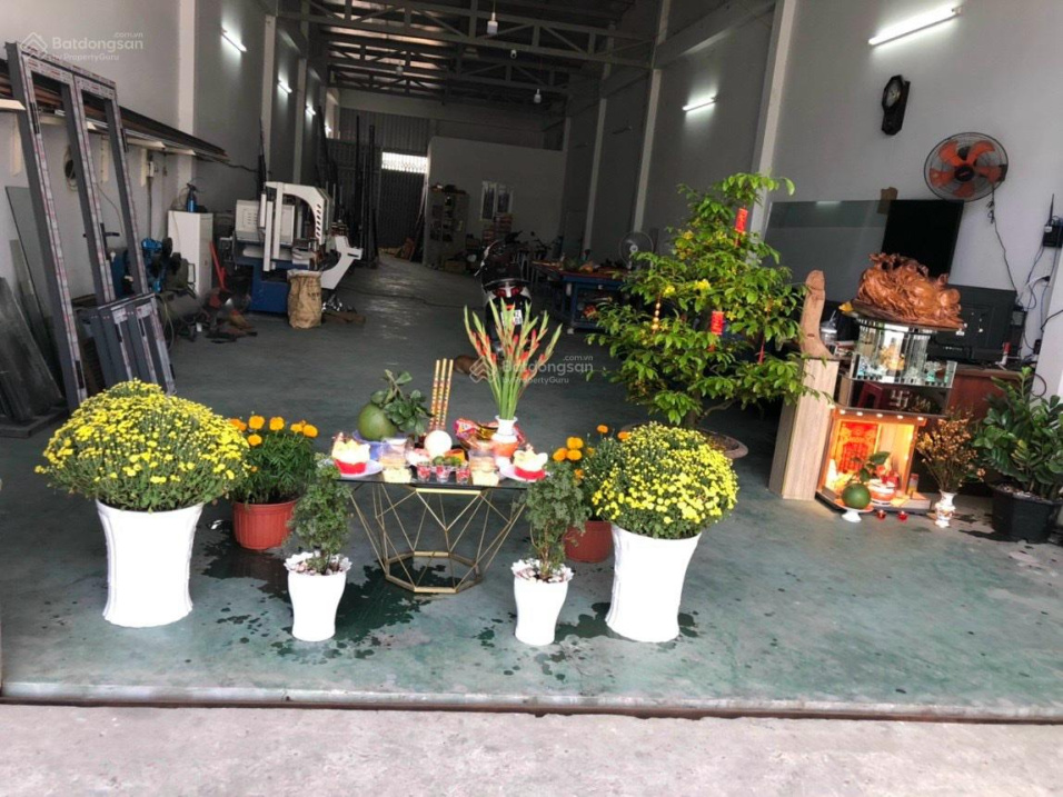 Bán nhà MT Trần Văn Giàu, Xã Lê Minh Xuân, Huyện Bình Chánh, DT 6,45 x50m 100% thổ cư: 11,7 tỷ 16005372