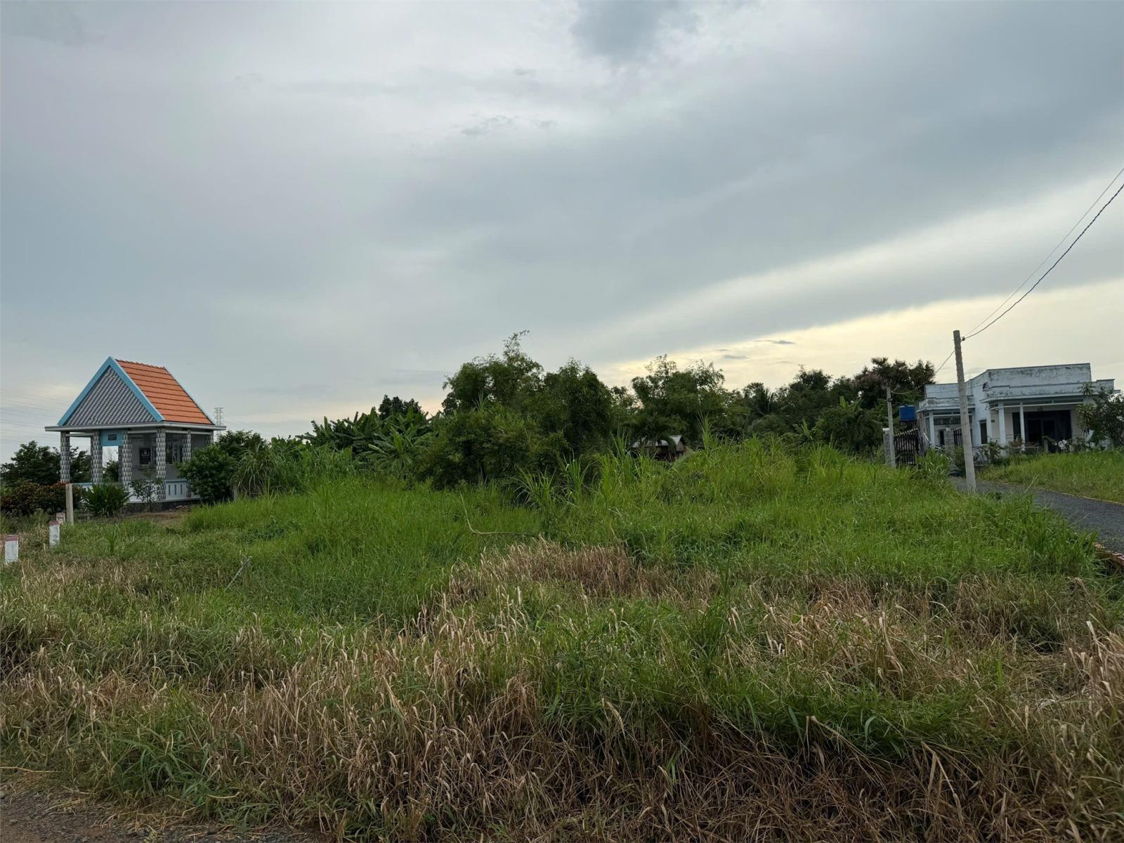 ĐẤT CHÍNH CHỦ - GIÁ TỐT Cần Bán Tại Bờ Mồi, Xã Phước Tuy, Huyện Cần Đước, Long An 16005405