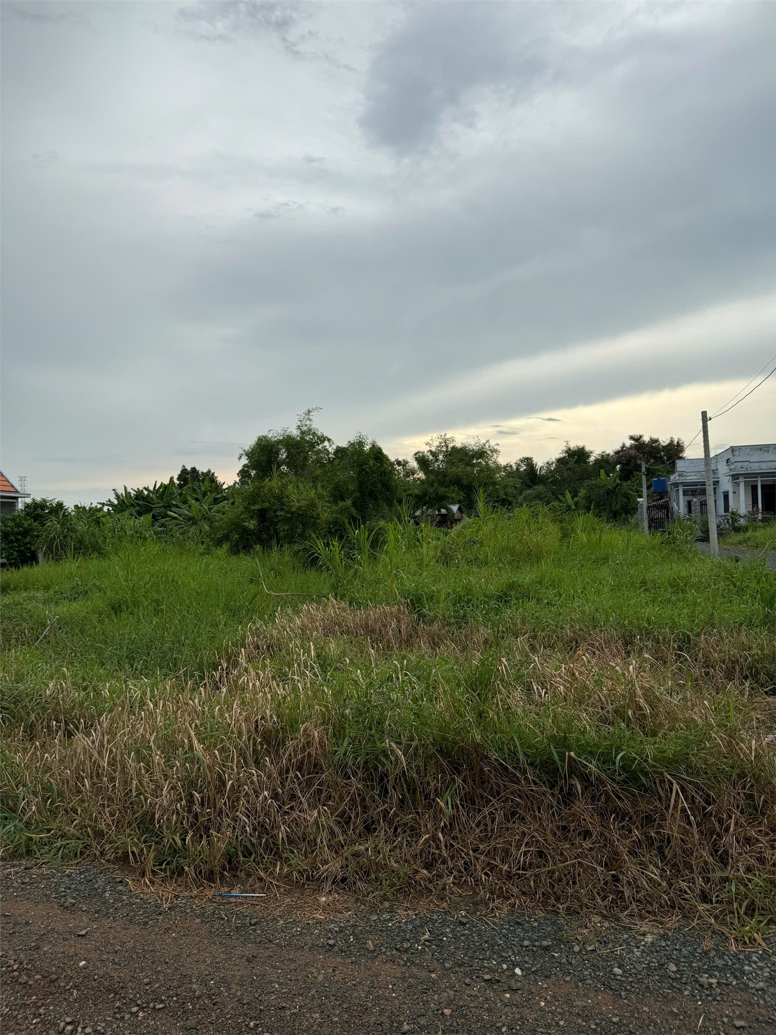 ĐẤT CHÍNH CHỦ - GIÁ TỐT Cần Bán Tại Bờ Mồi, Xã Phước Tuy, Huyện Cần Đước, Long An 16005405