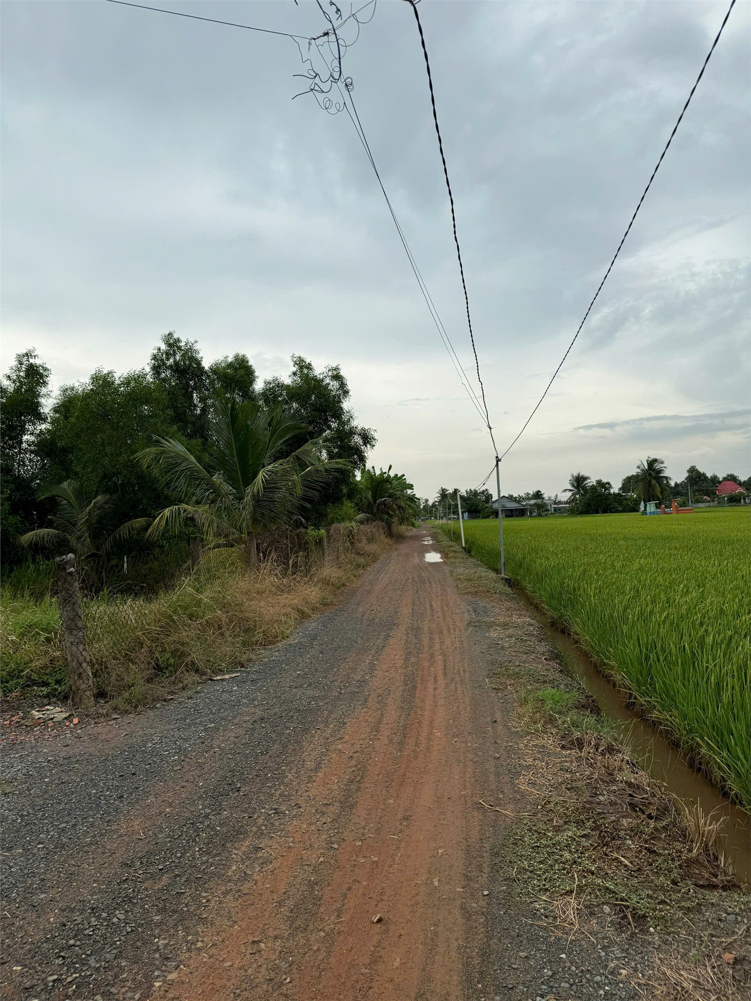 ĐẤT CHÍNH CHỦ - GIÁ TỐT Cần Bán Tại Bờ Mồi, Xã Phước Tuy, Huyện Cần Đước, Long An 16005405