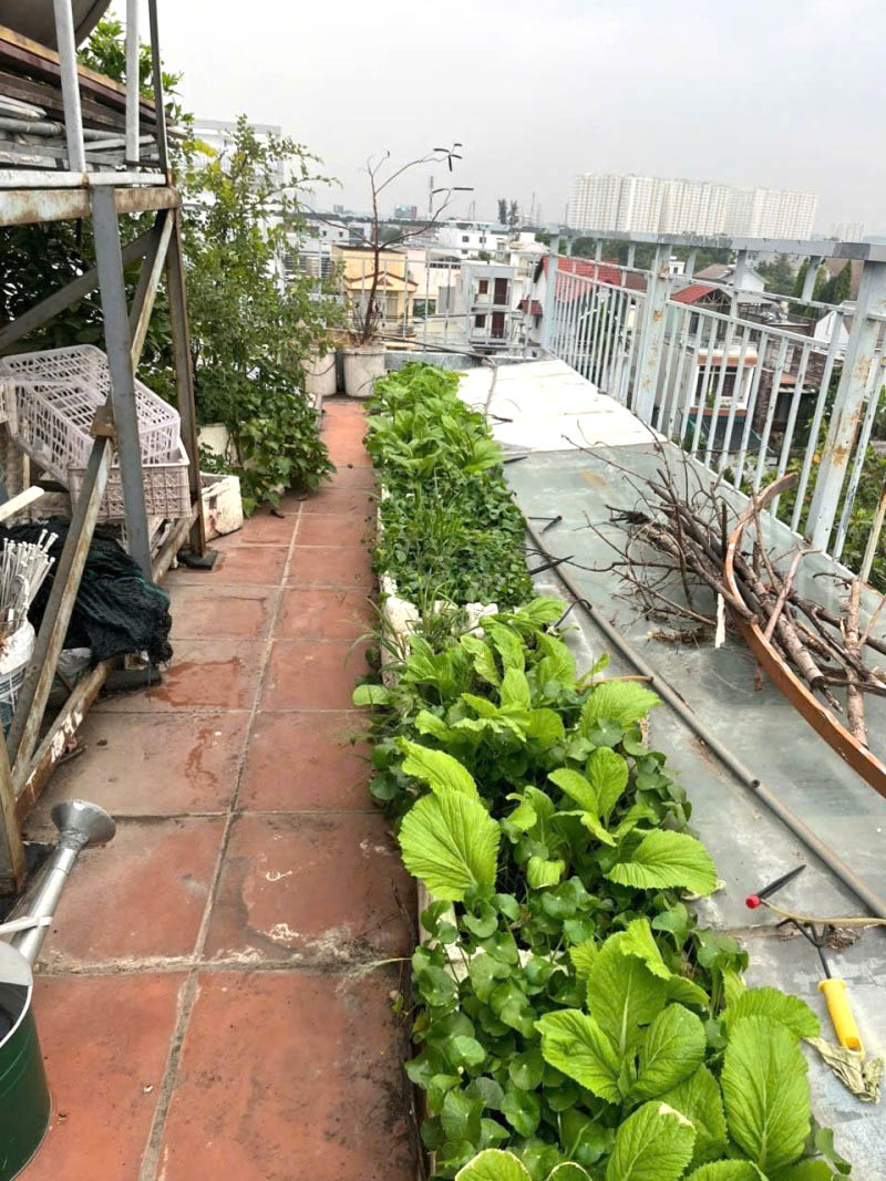 12 Tỷ Sở Hữu Tòa CHDV 4 Tầng Gần QL13 – 210m², Thang Máy, 14 Phòng, Sẵn Dòng Tiền 50 Triệu/Tháng 16005417