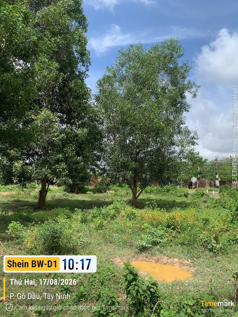 ĐẤT CHÍNH CHỦ - GIÁ TỐT Cần Bán Ấp Rỗng Tượng, Xã Thanh Phước, Huyện Gò Dầu, Tây Ninh. 16005433