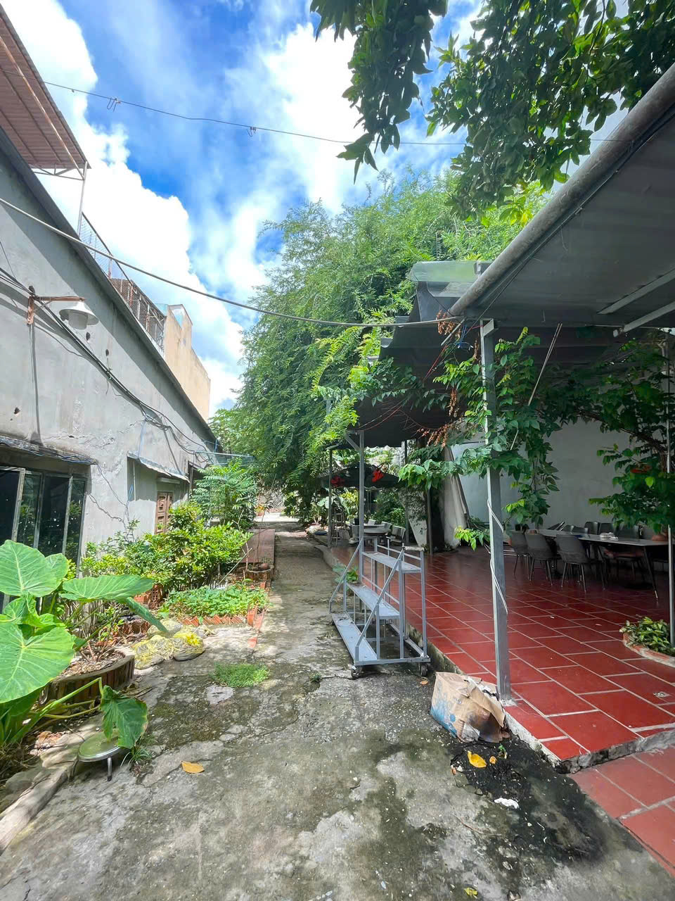 Bán nhà Mặt tiền Nguyễn Ảnh Thủ, Gần Song Hành, QL22, 14x46m, C4 - GPXD 9 tầng, 72 Tỷ. 16005500