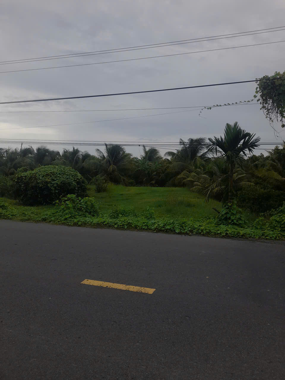 ĐẤT ĐẸP- GIÁ TỐT CHÍNH CHỦ BÁN NHANH LÔ ĐẤT ĐẦU TƯ LÀ SINH LỜI TẠI huyện Cầu Kè, tỉnh Trà Vinh 16005687