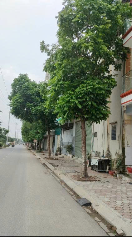 CHO THUÊ NHÀ TẠI LŨNG KÊNH - ĐỨC GIANG- HOÀI ĐỨC 16005863