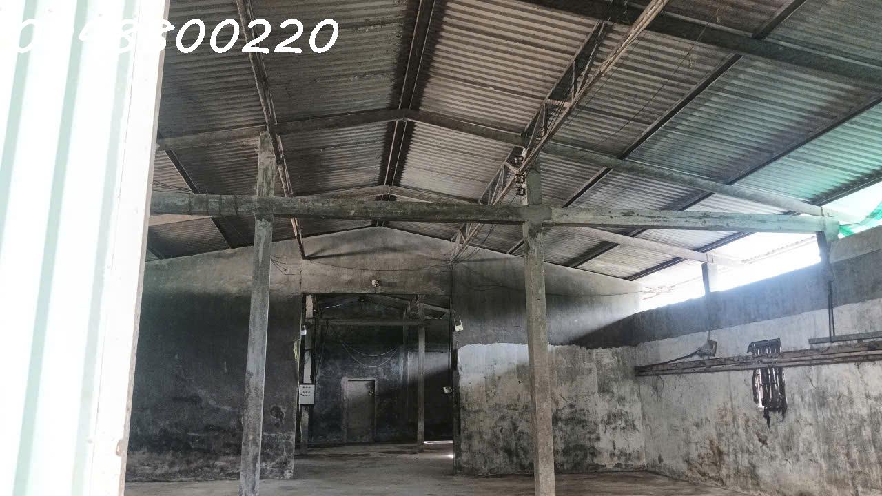 Cho thuê kho xưởng tại 56 quốc lộ 63, Thị Trấn Minh Lương, Xã Châu Thành, An Giang. 16005906