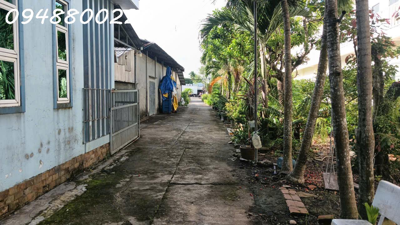 Cho thuê kho xưởng tại 56 quốc lộ 63, Thị Trấn Minh Lương, Xã Châu Thành, An Giang. 16005906