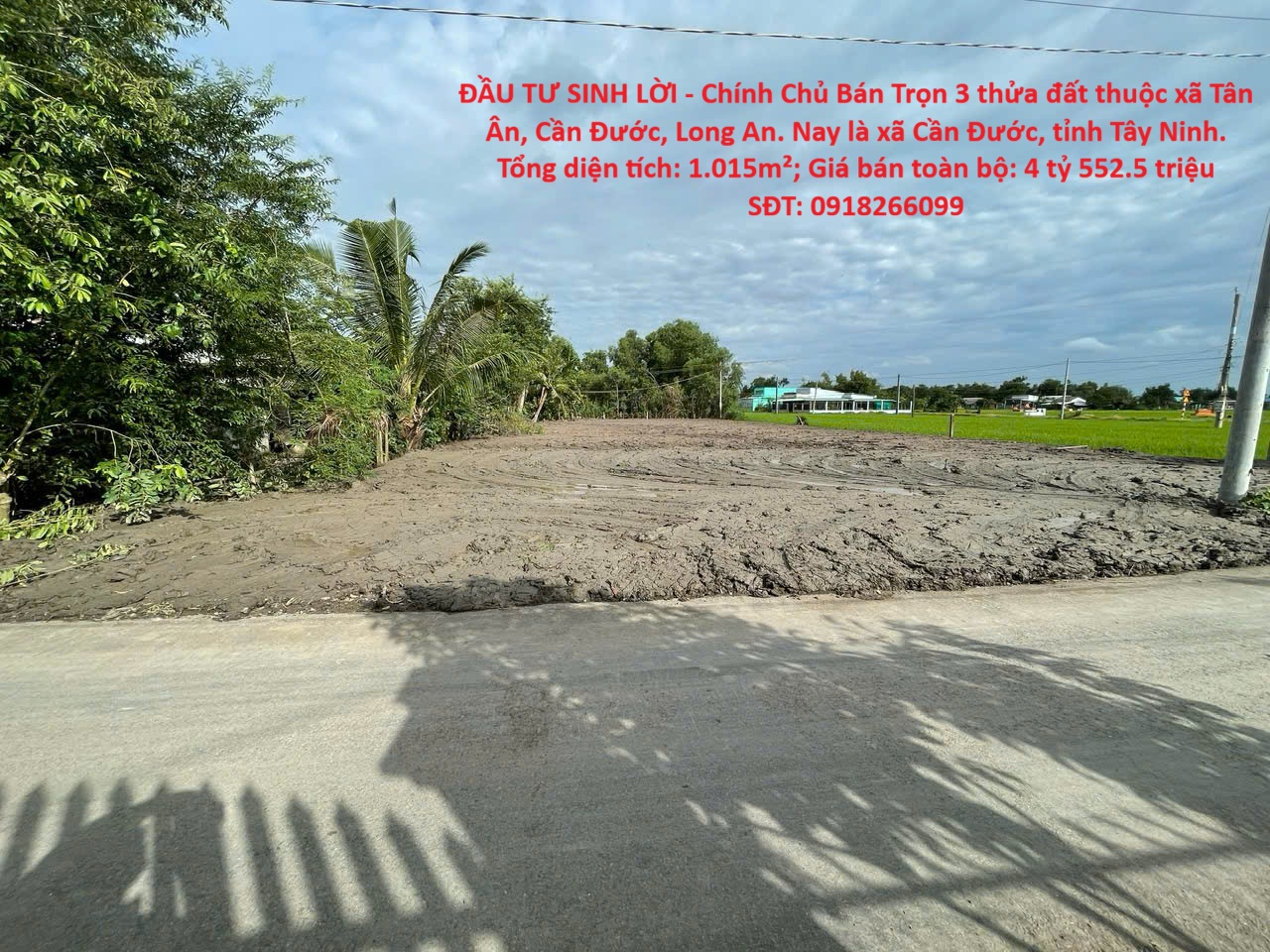ĐẦU TƯ SINH LỜI - Chính Chủ Bán Trọn 3 thửa đất thuộc xã Tân Ân, Cần Đước, Long An 16006095