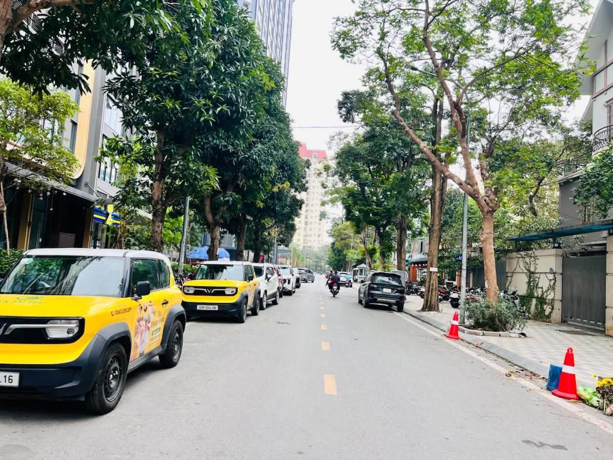 BIỆT THỰ, VƯỜN ĐÀO, NHẬT TÂN, TÂY HỒ-VỈA HÈ-KD-Ô TÔ: 195M X5T,MT 12M, GIÁ 173 TỶ. 16006123