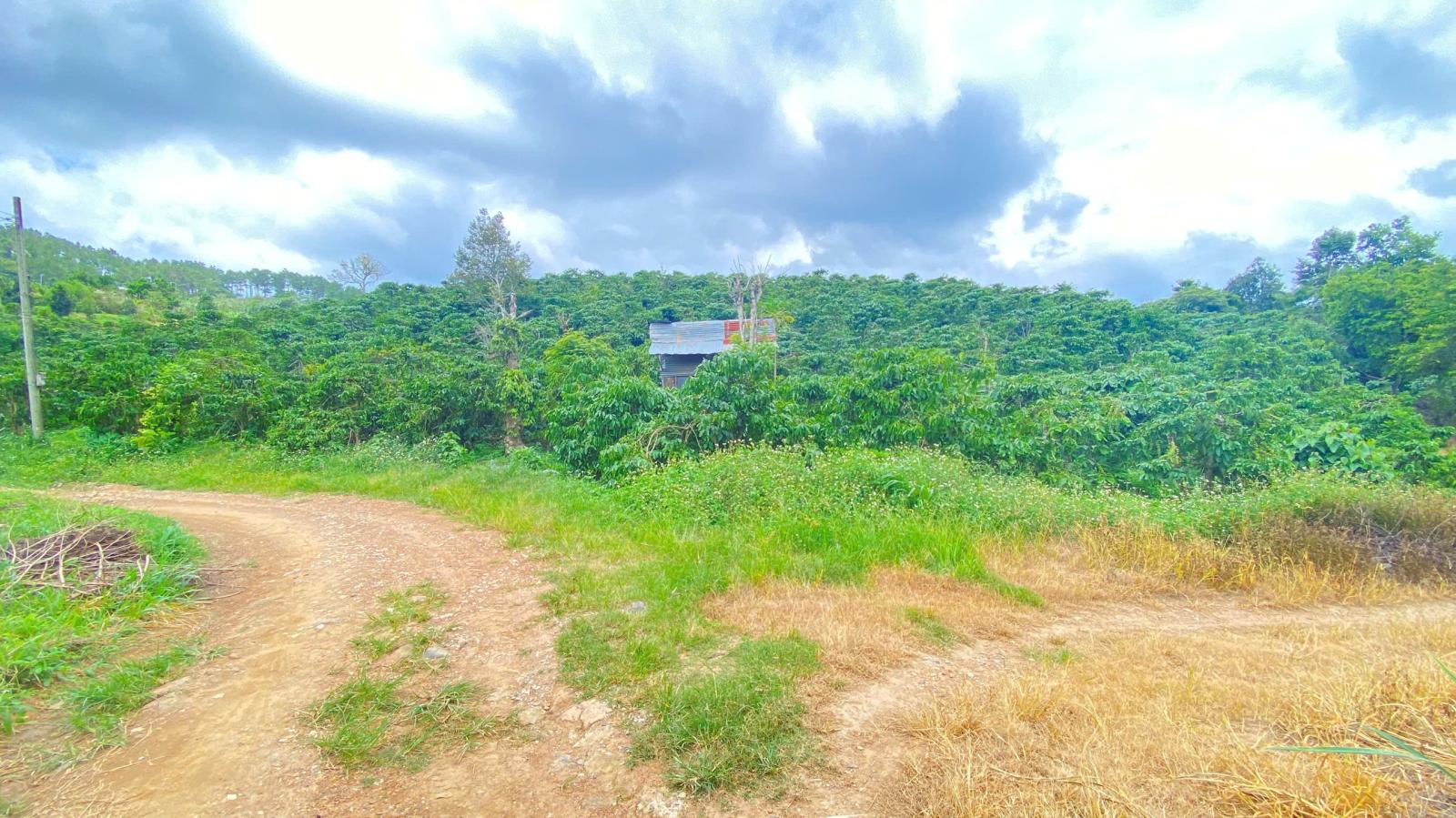 Hẻm ql20 - hiệp thuận, ninh gia, lâm đồng - gần trạm dừng chân lê sáng 16006172