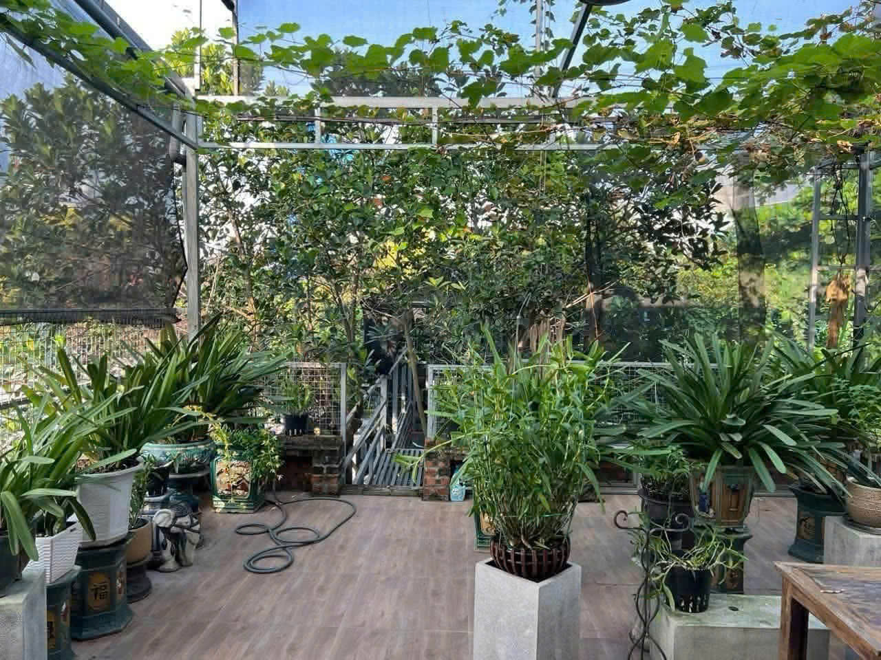 🏡 CHO THUÊ BIỆT PHỦ SÂN VƯỜN QUẢNG AN – TÂY HỒ  200M² × 2 TẦNG  25 TRIỆU/THÁNG 16006249