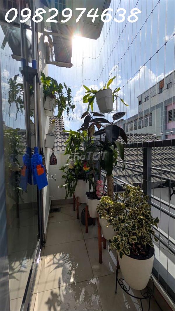 Cho thuê CHDV Tân Bình, diện tích 55m2, 2PN, 1WC, giá 12,5tr/tháng 16006275
