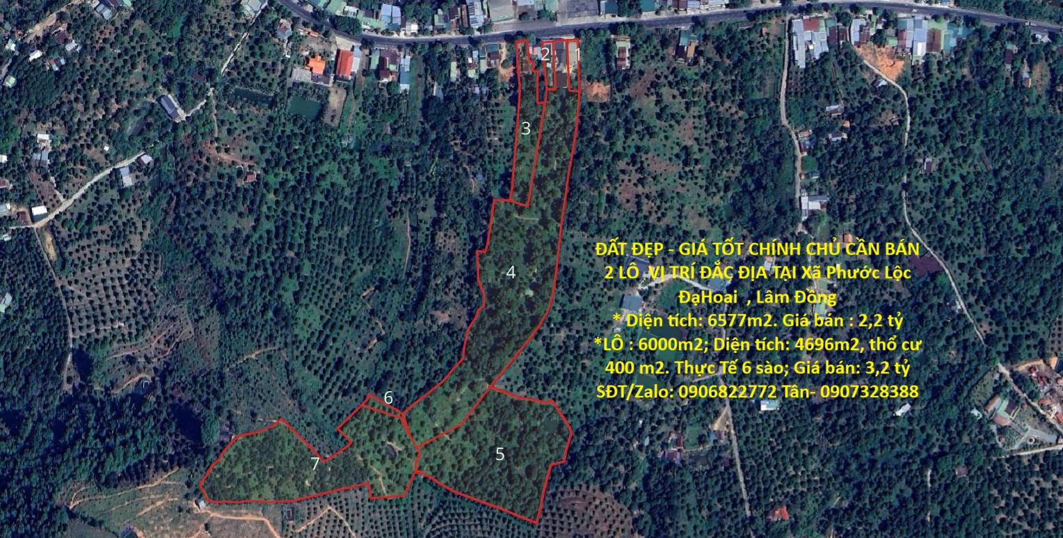 ĐẤT ĐẸP - GIÁ TỐT CHÍNH CHỦ CẦN BÁN 2 LÔ  VỊ TRÍ ĐẮC ĐỊA TẠI Xã Phước Lộc ĐạHoai  , Lâm Đồng 16006279