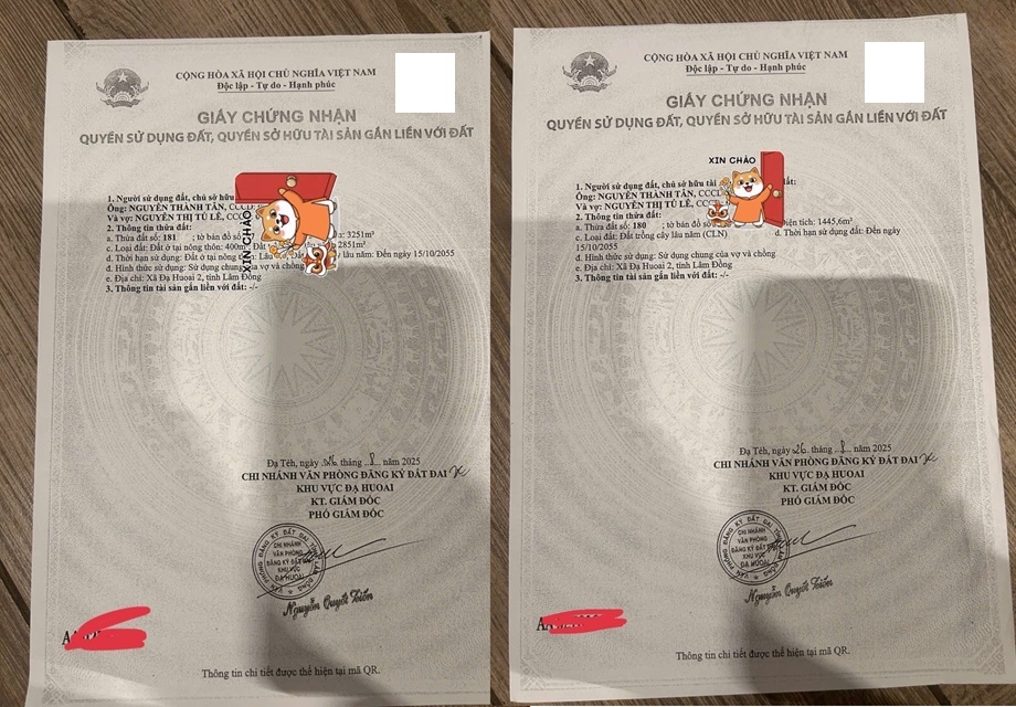 ĐẤT ĐẸP - GIÁ TỐT CHÍNH CHỦ CẦN BÁN 2 LÔ  VỊ TRÍ ĐẮC ĐỊA TẠI Xã Phước Lộc ĐạHoai  , Lâm Đồng 16006279