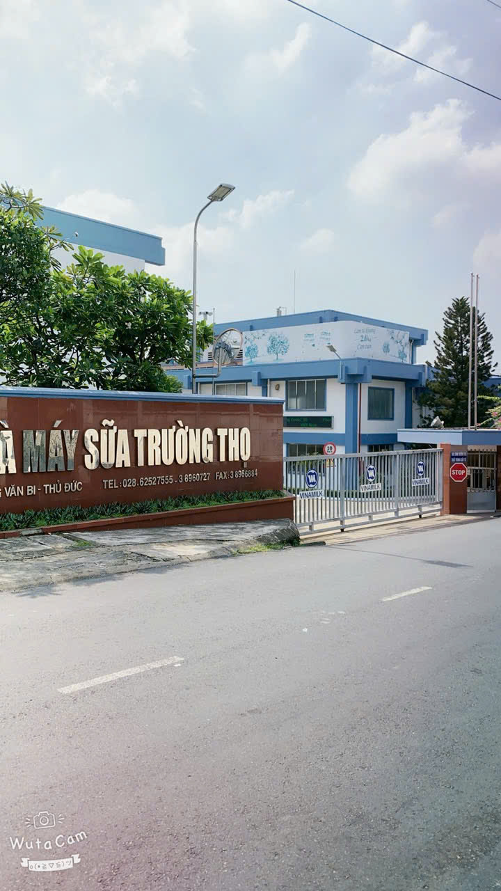 BÁN ĐẤT MẶT TIỀN ĐƯỜNG SỐ 6 – PHƯỜNG TRƯỜNG THỌ, THÀNH PHỐ THỦ ĐỨC 16006319