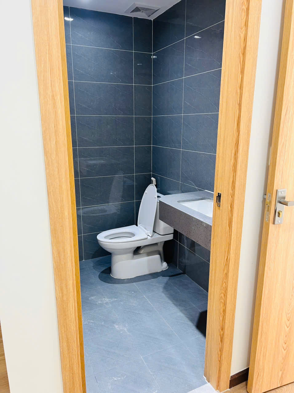 CHÍNH CHỦ CHO THUÊ CĂN 2PN – 2WC, 60M², – DIAMOND BOULEVARD, ĐẠI LỘ BÌNH DƯƠNG – 6,5 TRIỆU/THÁNG 16006351