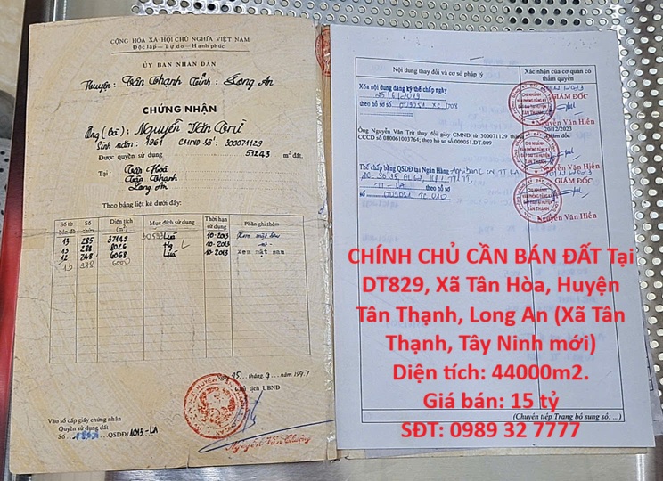 HOT ĐẦU TƯ SINH LỜI – CHÍNH CHỦ CẦN BÁN ĐẤT Tại Xã Tân Hòa, Huyện Tân Thạnh, Long An 16006395