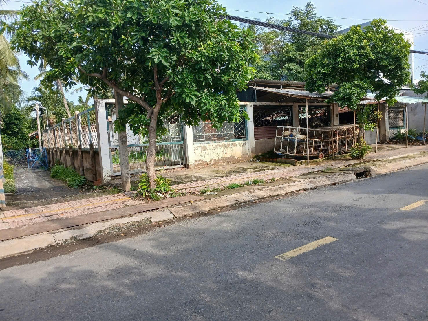 ĐẦU TƯ SINH LỜI  – CHÍNH CHỦ CẦN BÁN 3 LÔ ĐẤT Xã Phước Vân,  Cần Đước, Long An 16006411