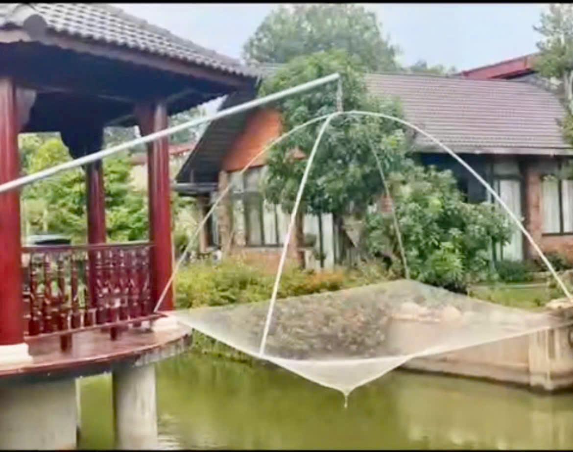 Cho thuê hoặc bán biệt thự nhà vườn mặt tiền đường Long Thuận 16006442