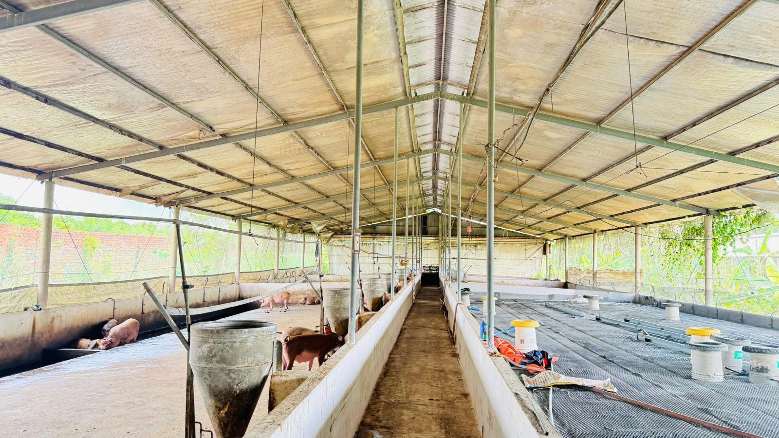 X159 bán xưởng, trại heo đang hoạt động ổn định, vị trí xa dân cư, có suối sau đất 16006454