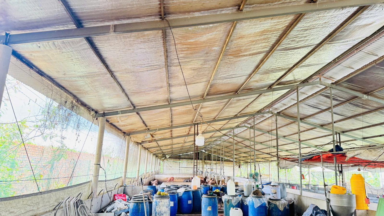 X159 bán xưởng, trại heo đang hoạt động ổn định, vị trí xa dân cư, có suối sau đất 16006454