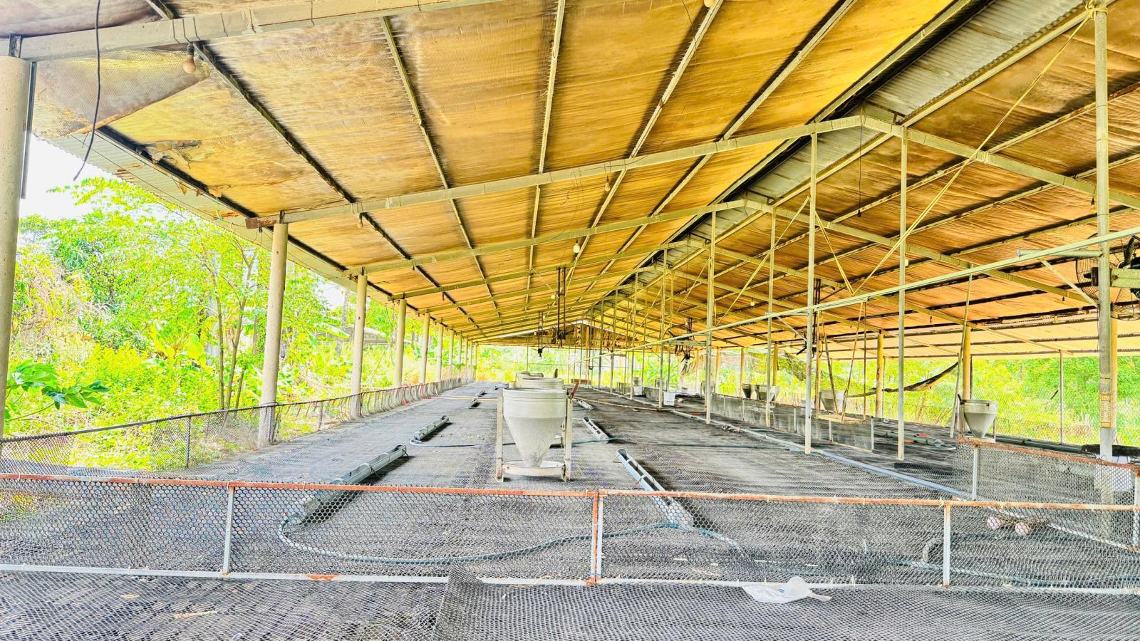 X159 bán xưởng, trại heo đang hoạt động ổn định, vị trí xa dân cư, có suối sau đất 16006453