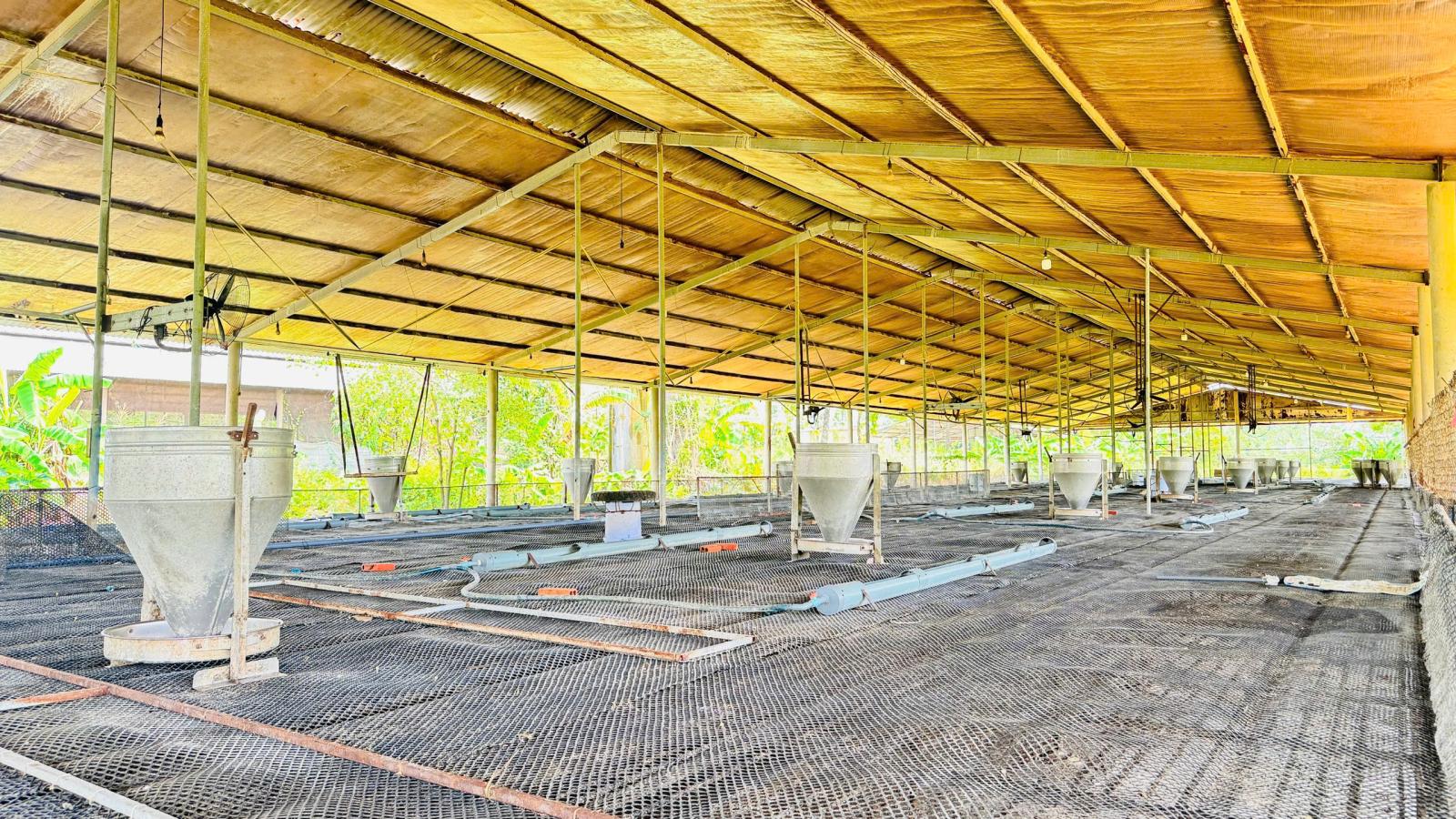 X159 bán xưởng, trại heo đang hoạt động ổn định, vị trí xa dân cư, có suối sau đất 16006465