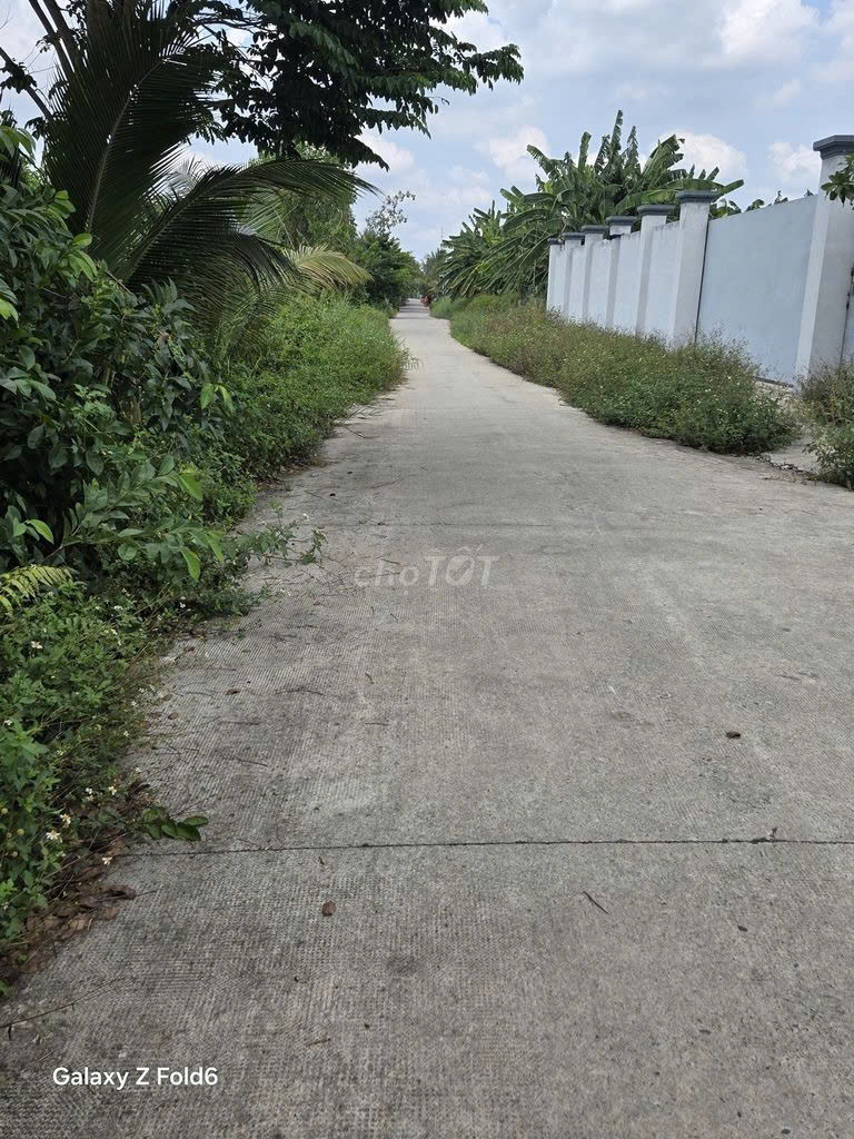 CHÍNH CHỦ BÁN GẤP ĐẤT THỔ CƯ BÌNH CHÁNH – 350M² – GIÁ 5,7 TỶ 16006509