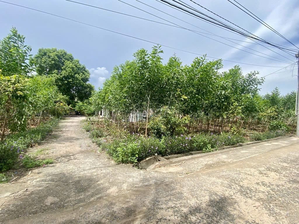 ĐẤT CHÍNH CHỦ  - GIÁ TỐT Cần Bán Tại Đường số 9, Xã Long Thọ, Huyện Nhơn Trạch, Đồng Nai 16006570