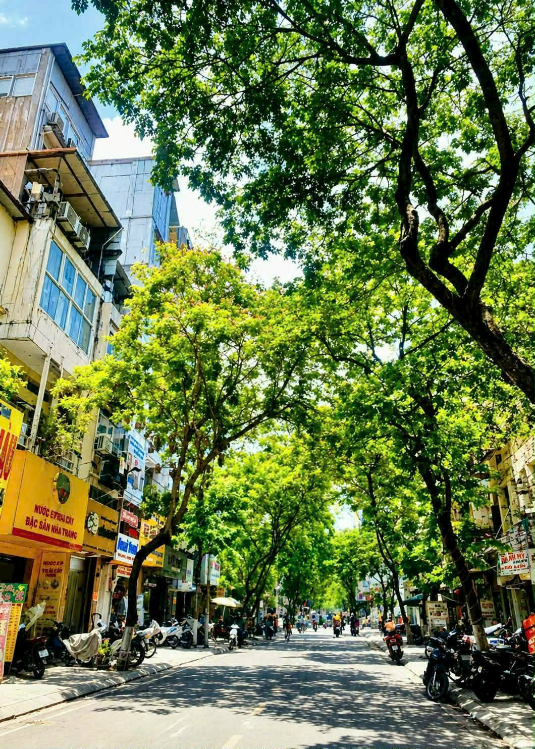 GIẢM SỐC NHÀ ĐỘI CẤN TT BA ĐÌNH DÒNG TIỀN 40 TRIỆU / THÁNG 500 TRIỆU / NĂM 40M X 7 TẦNG MT 4,2M NHỈNH 11 TỶ.
 16006695