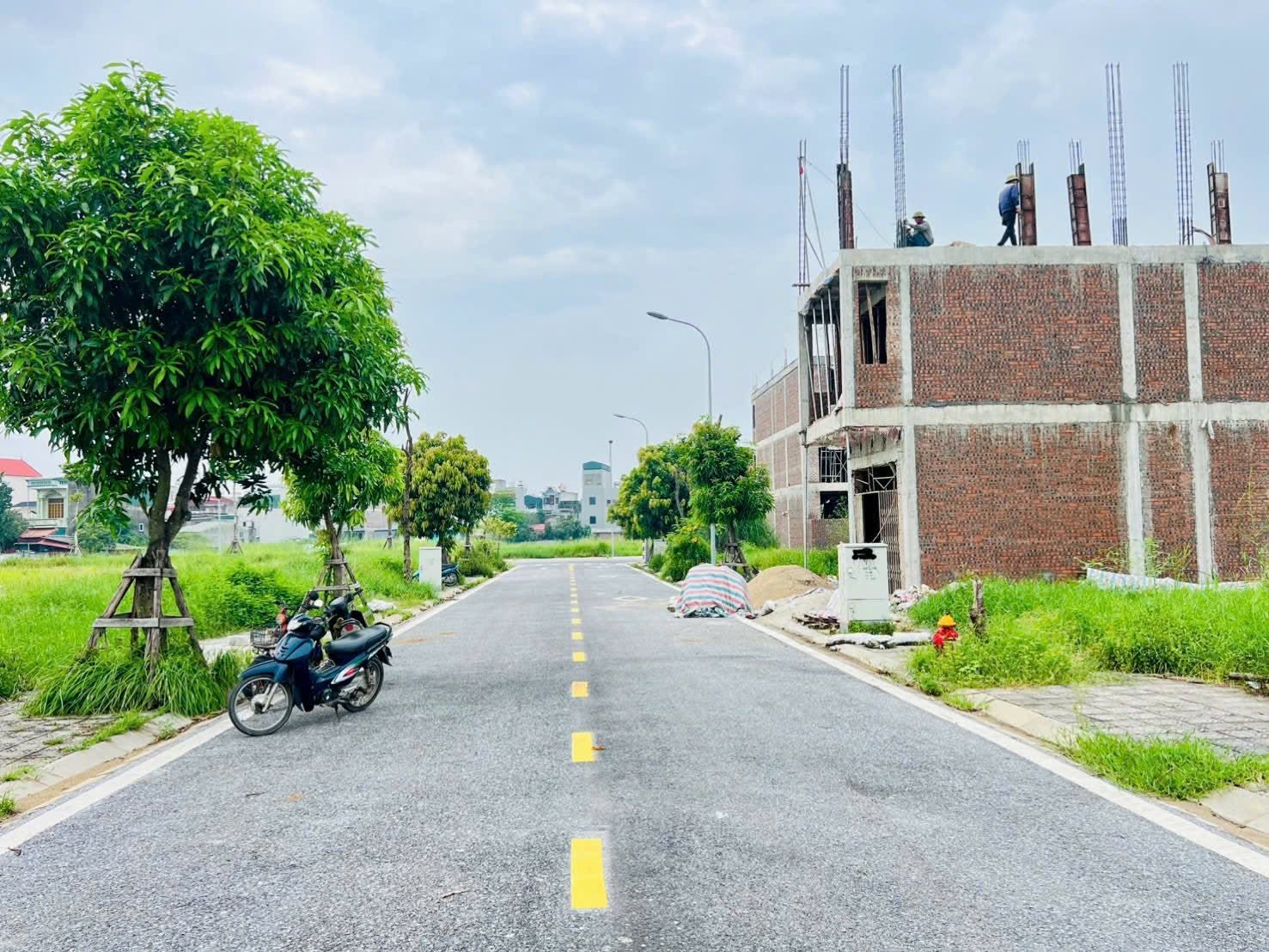 Bán đất mặt phố KDC Trái Bầu, ph Lê Thanh Nghị, TP HD, 69.75m2, mt 4.5m, chỉ 2.x tỷ cực rẻ 16006697