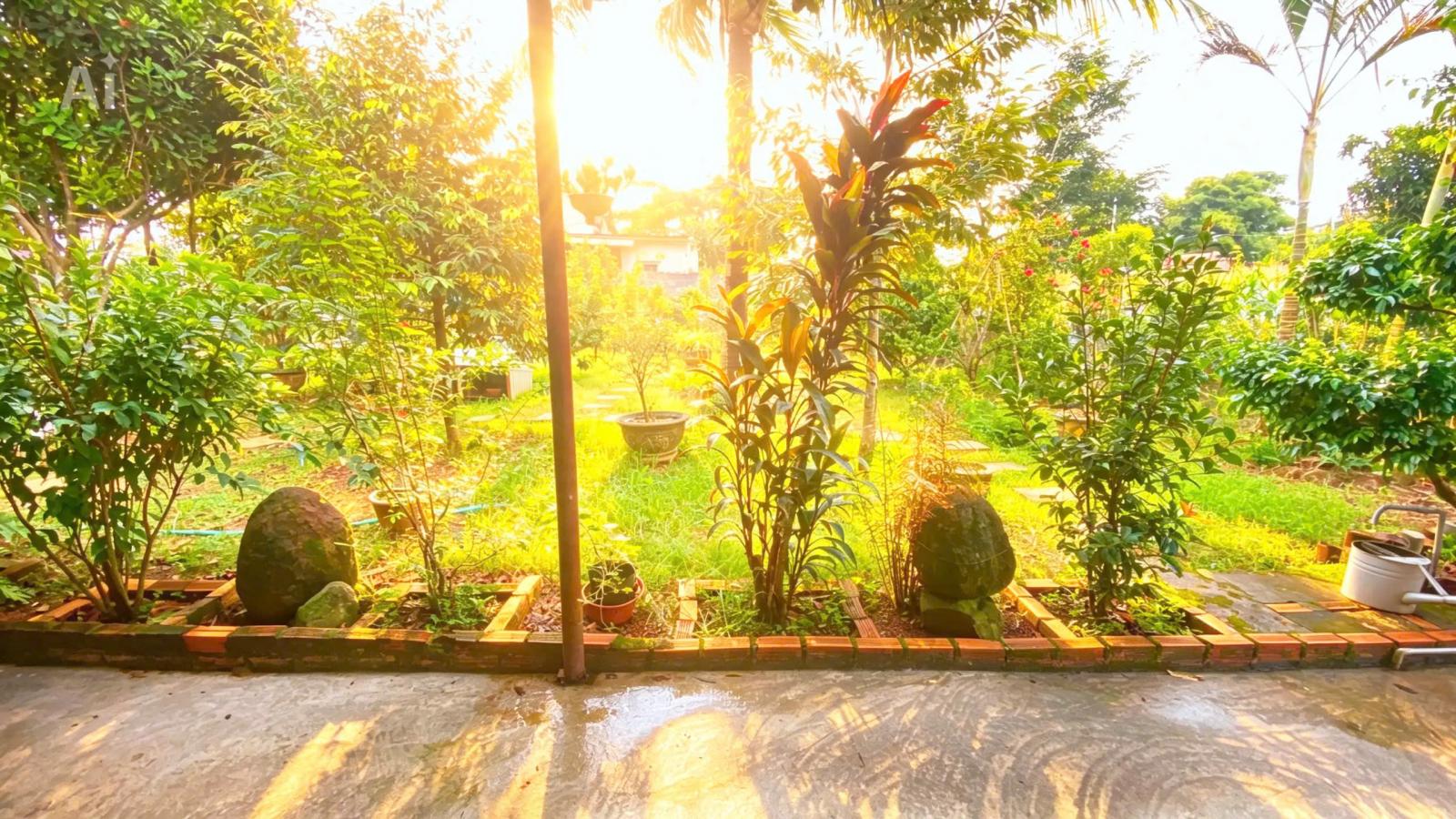 Nhà thuộc phú hội cũ - đức trọng / lâm đồng – khu dân cư 16006820
