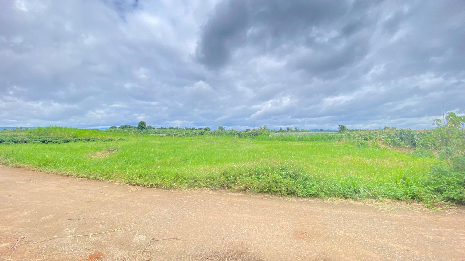 Đất hẻm gần trung tâm tân hội - lâm đồng 16006861