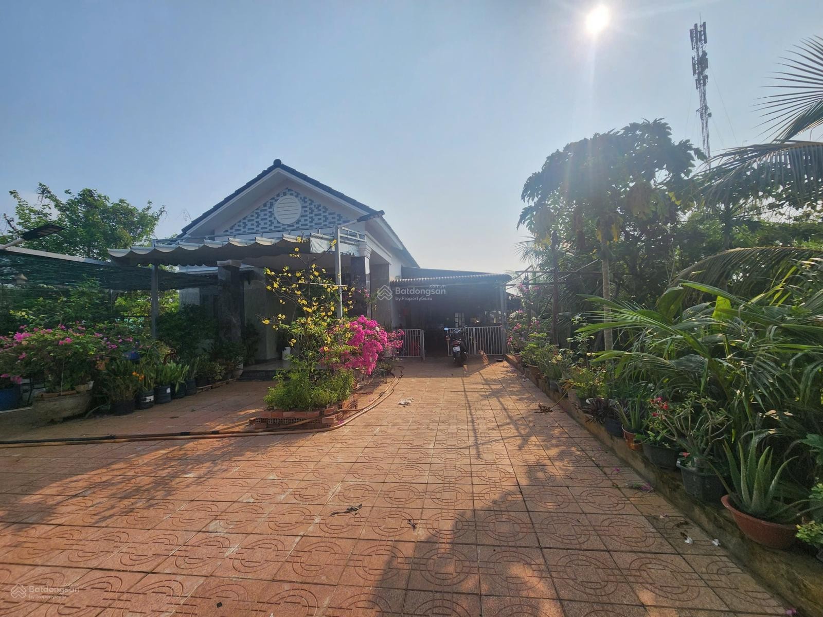 BÁN NHÀ ĐẤT MẶT TIỀN ĐT756 – DIỆN TÍCH 5.887,7M² – GIÁ CHỈ 4,5 TỶ - HUYỆN LỘC NINH - TỈNH BÌNH PHƯỚC 16006968