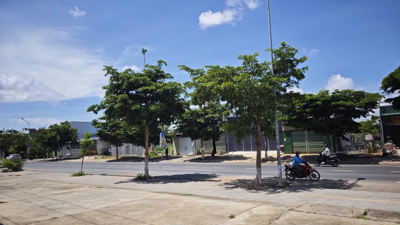 CHÍNH CHỦ CẦN BÁN ĐẤT MẶT TIỀN ĐƯỜNG 2/4 – 900M² – Đường 2/4, TT.Thạnh Mỹ, H.Đơn Dương, Lâm Đồng 16006979