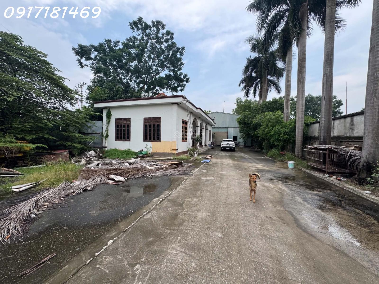 CHÍNH CHỦ BÁN 1.400M ĐẤT+ NHÀ+ KHO,MẶT ĐƯỜNG QL2 SÁT KCN KHAI QUANG,BÌNH XUYÊN (VĨNH PHÚC) 16007011