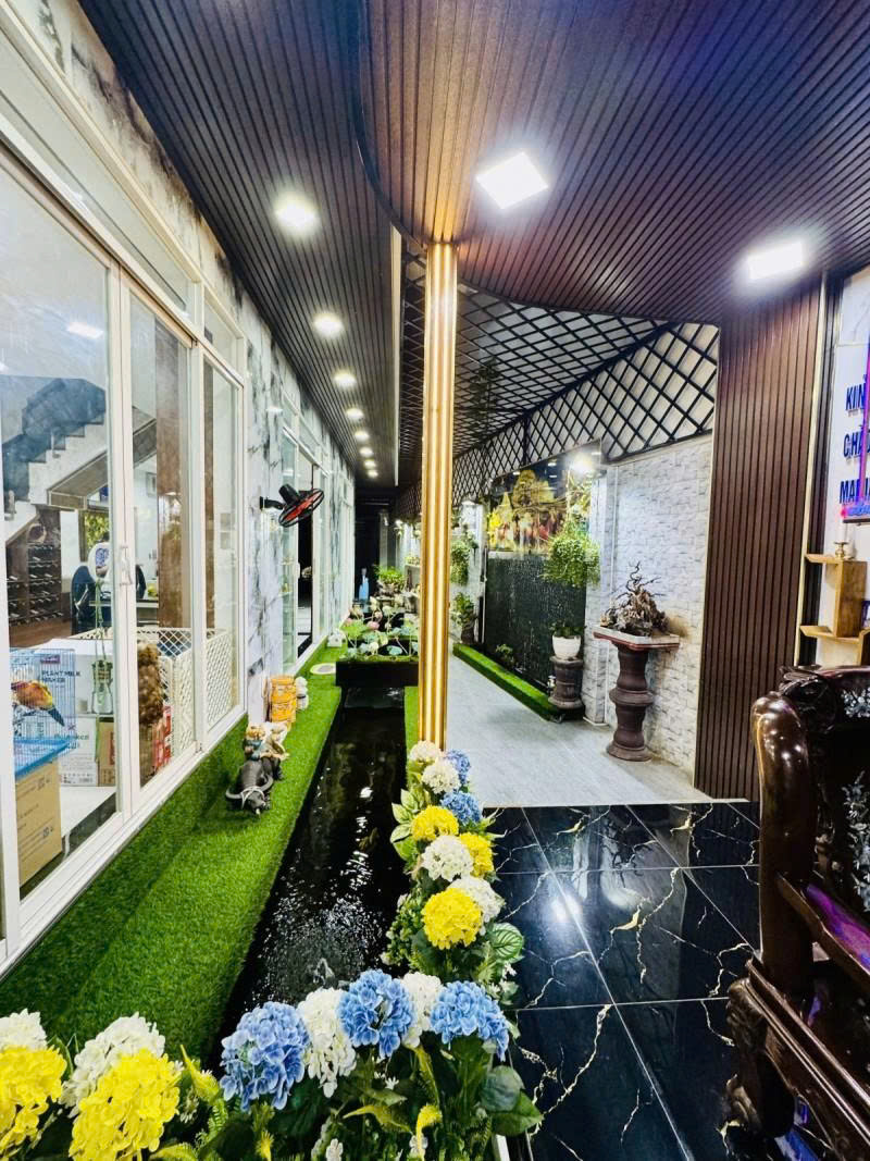 Bán nhà Biệt thự - HXH 6m Gò Dầu, giao Tân Quý, 8x20m, 4 Tầng mới, 4PN, chỉ  16,9 Tỷ. 16007012