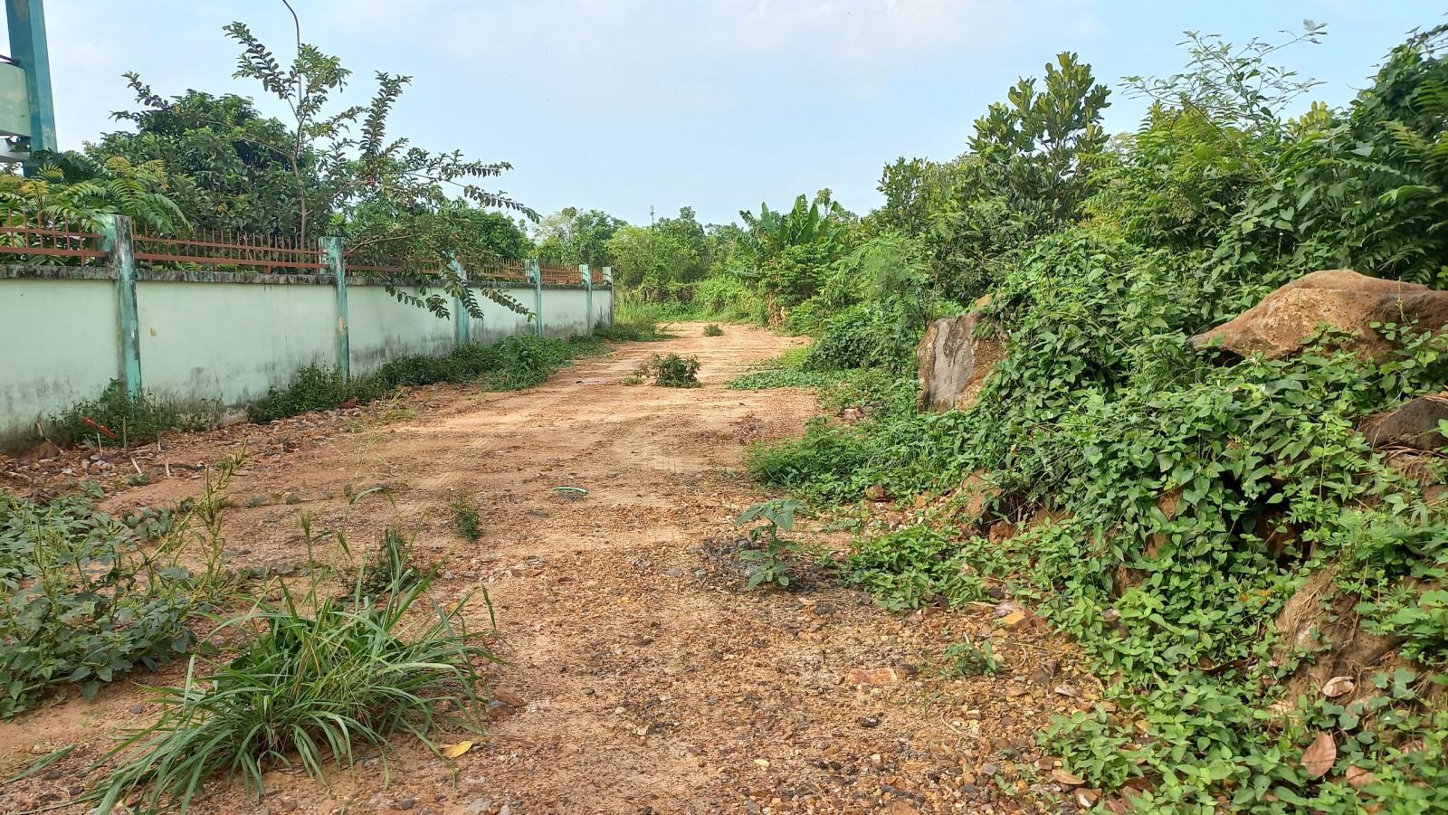 Bán 1000m Đất Mặt Tiền Tà Lài xã Phú Lộc, huyện Tân Phú, Đồng Nai - Quy Hoạch Đất Ở 16007148