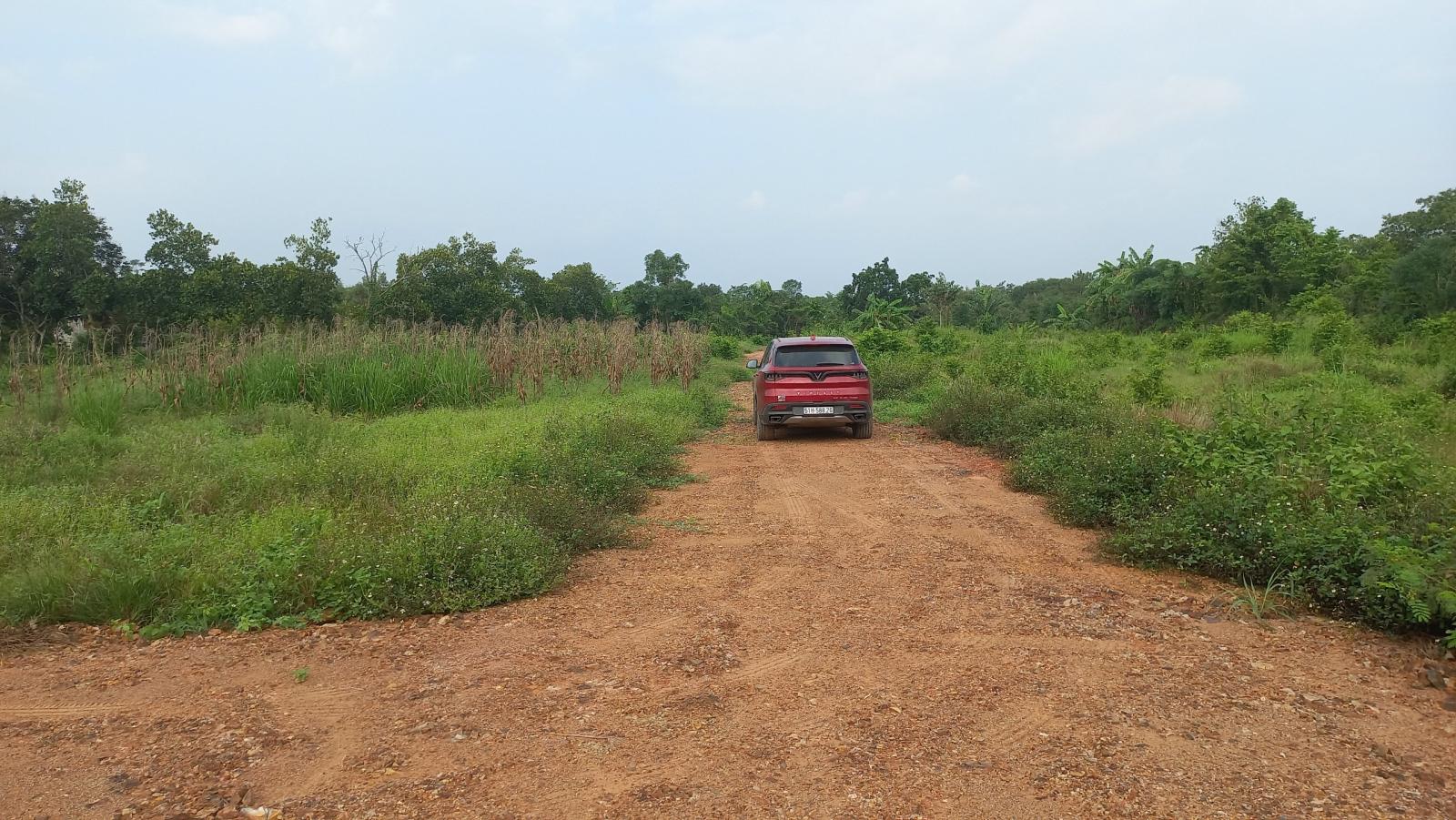 Bán 1000m Đất Mặt Tiền Tà Lài xã Phú Lộc, huyện Tân Phú, Đồng Nai - Quy Hoạch Đất Ở 16007148
