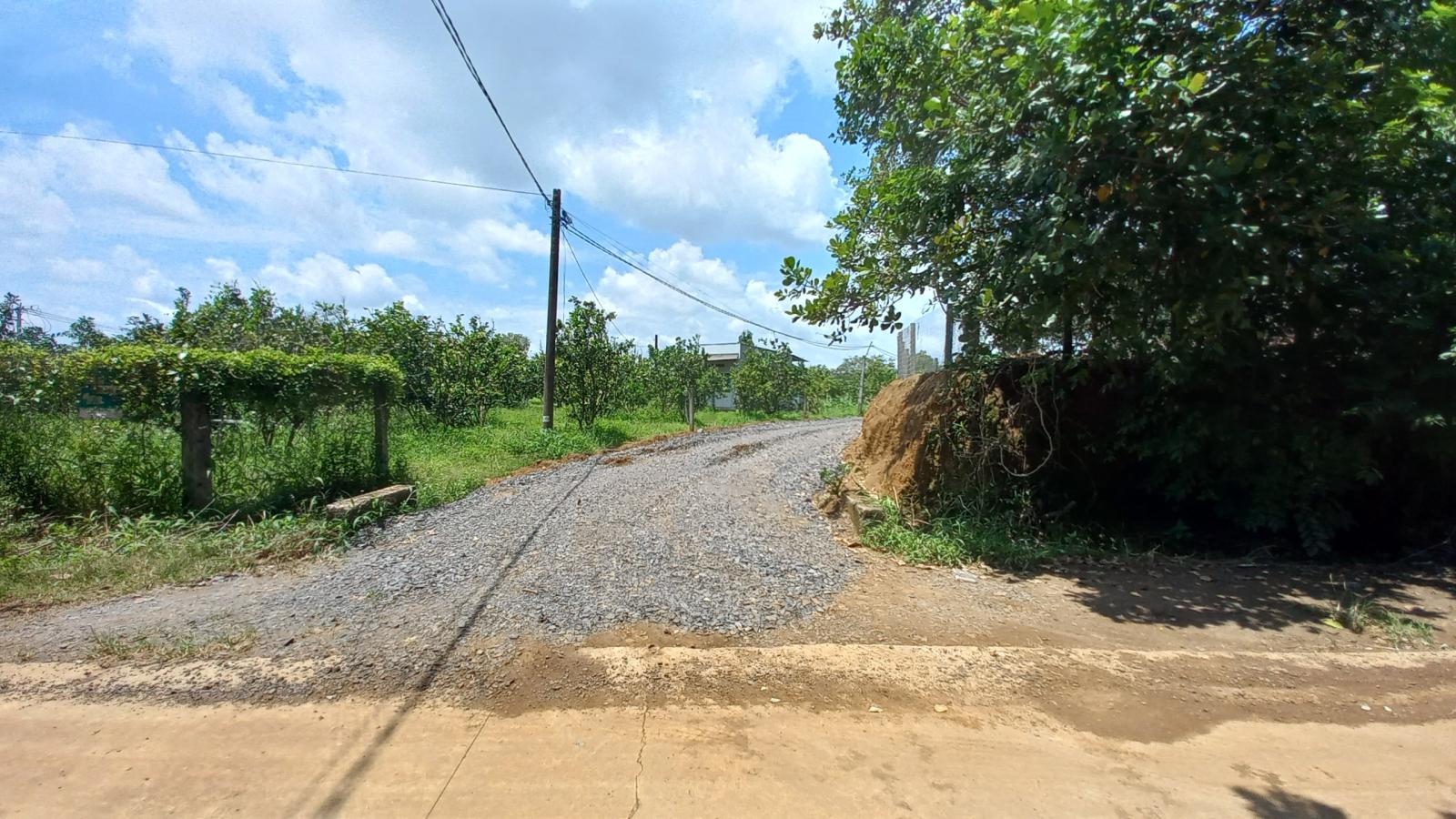 Cần Bán 1 Sào Đất Vườn xã Ngọc Định, Định Quán, Đồng Nai 16007153