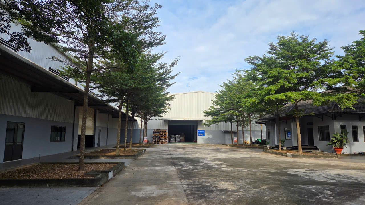XT212 cho thuê sản xuất nhà xưởng lâu dài, khung thép lớn thích hợp SX Cơ Khí. giao liền 16007187