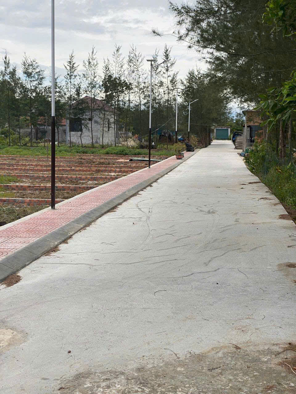Bán gấp giá rẻ Đất Triệu Phong 100m, mặt tiền 5m, 500 triệu Quảng Trị. 16007201