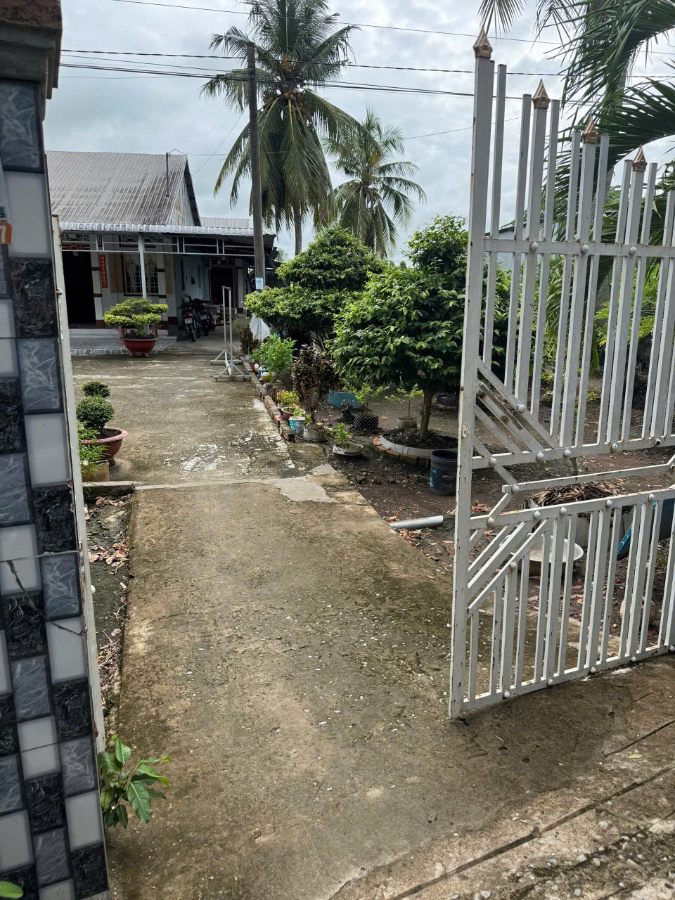 CHÍNH CHỦ CẦN BÁN ĐẤT RUỘNG GẦN ĐƯỜNG XUYÊN Á – CÓ SẴN NỀN NHÀ SÁT LỘ BÊ TÔNG CẶP BỜ KÊNH – GIÁ 2,2 16007244
