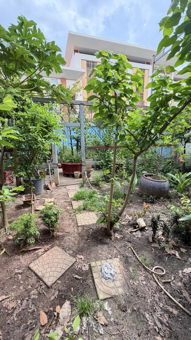 Bán Đất - hẻm nhựa 10m Lũy Bán Bích, gần Âu cơ - Bàu Cát, 10x15m, full thổ, Sổ A4, 15 tỷ 16007292