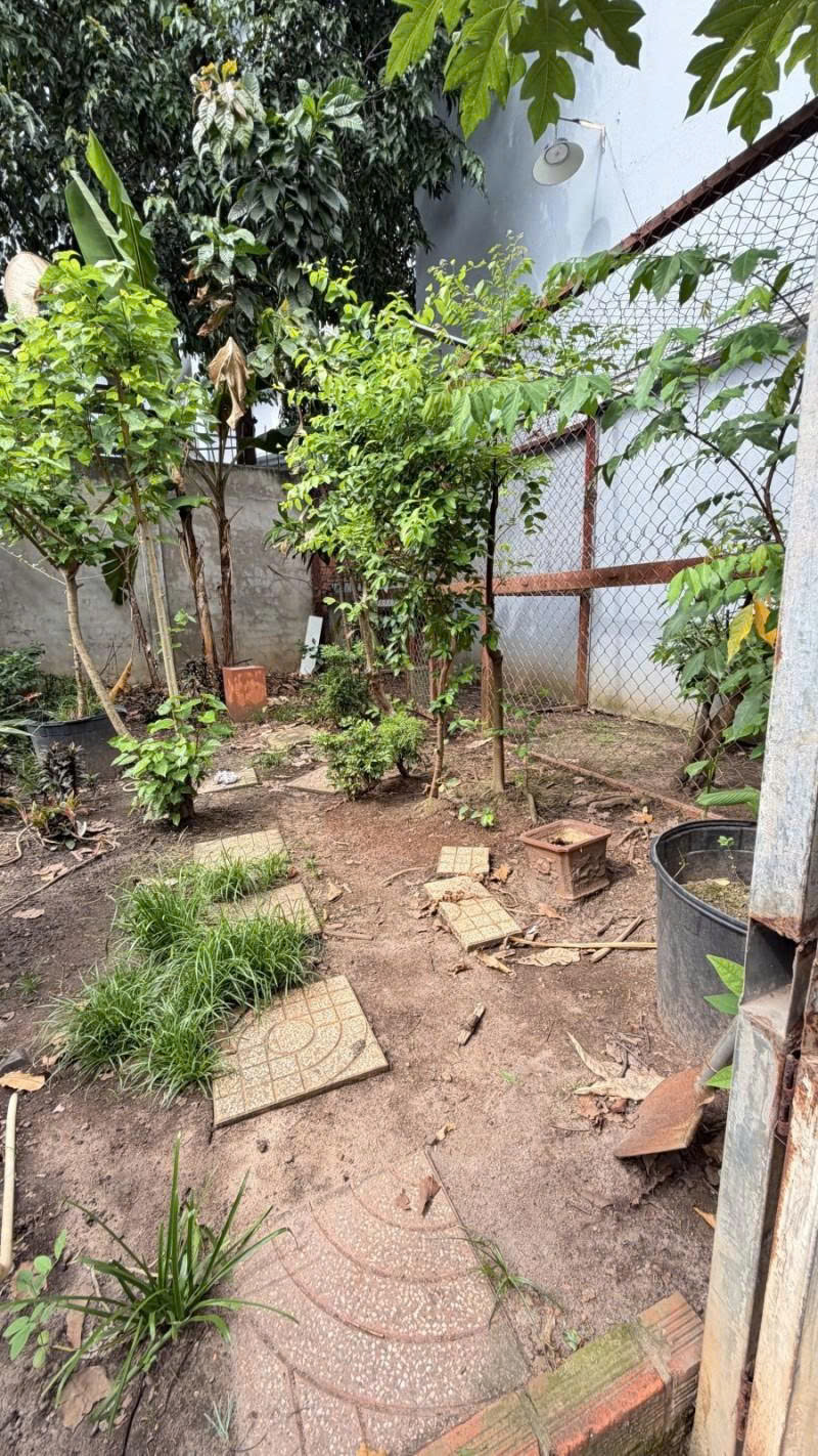Bán Đất - hẻm nhựa 10m Lũy Bán Bích, gần Âu cơ - Bàu Cát, 10x15m, full thổ, Sổ A4, 15 tỷ 16007292