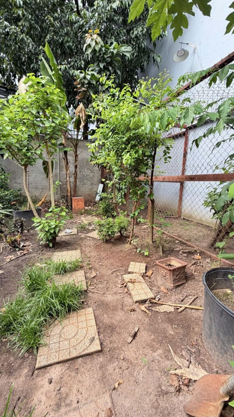 Bán Đất - hẻm nhựa 10m Lũy Bán Bích, gần Âu cơ - Bàu Cát, 10x15m, full thổ, Sổ A4, 15 tỷ 16007292