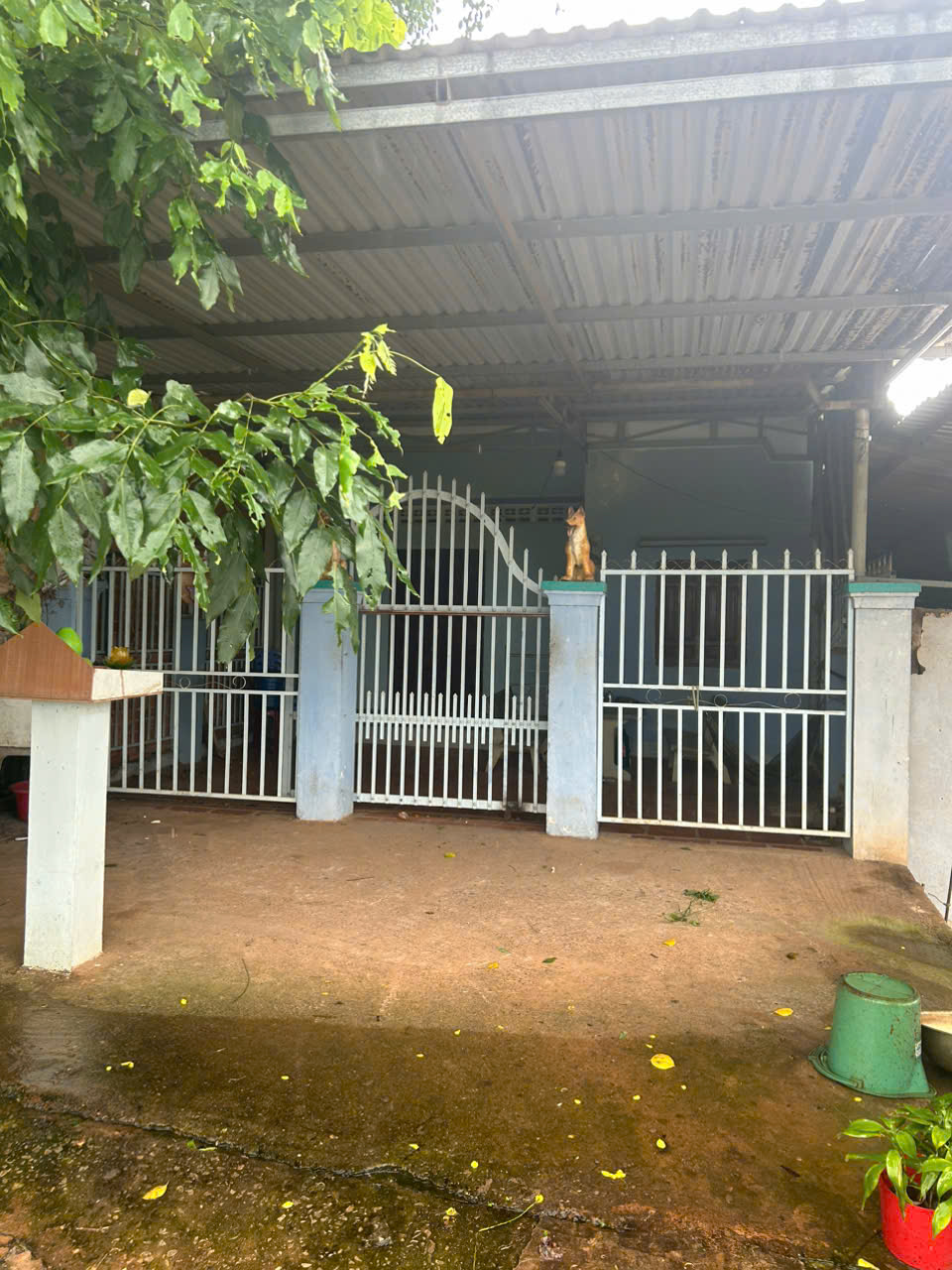 Bán nhà 6m x 25m MT Nguyên Thị Định, Tân Hải, LaGi KDC Ba Đăng 800 triệu 16007476