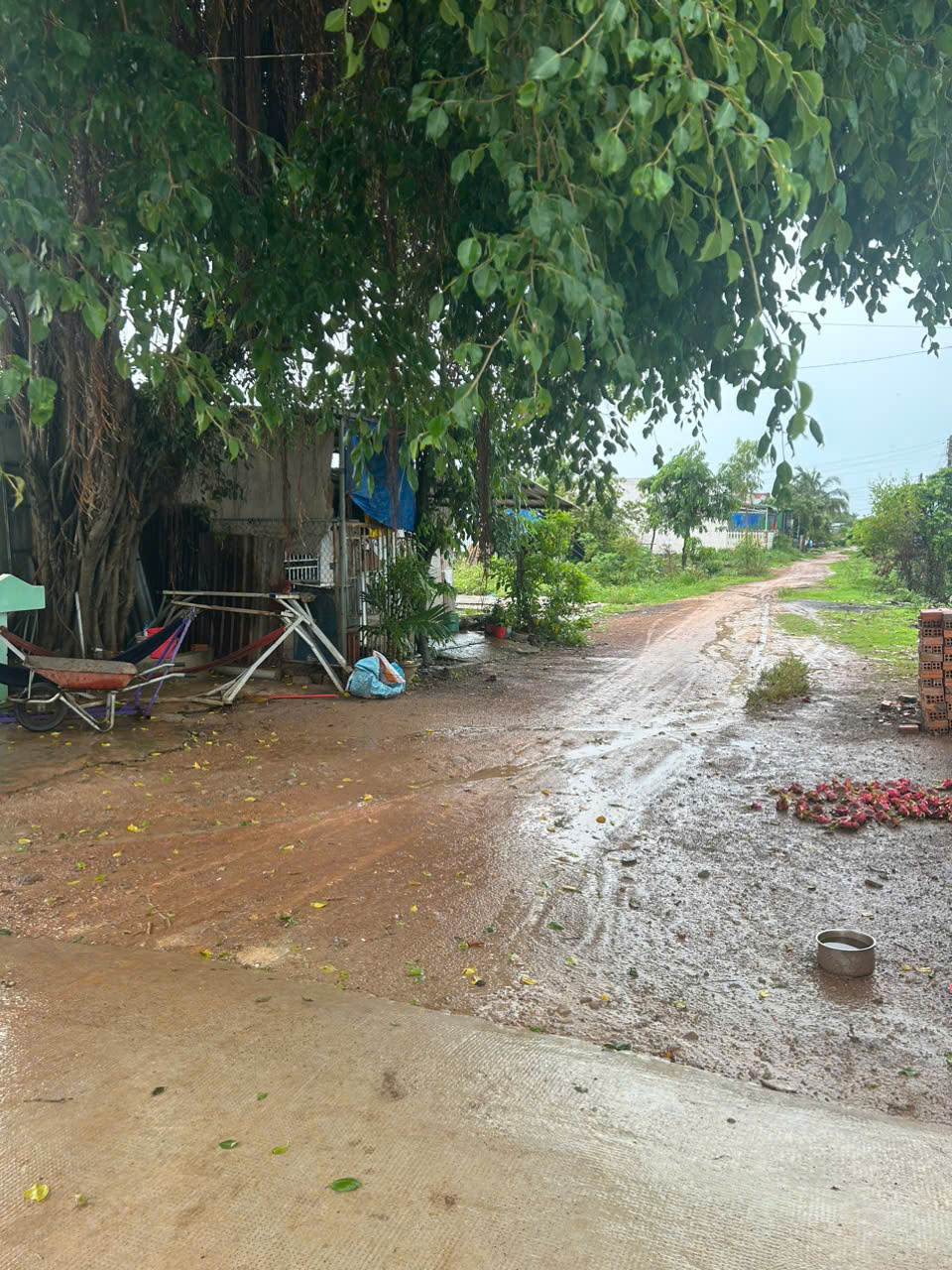 Bán nhà 6m x 25m MT Nguyên Thị Định, Tân Hải, LaGi KDC Ba Đăng 800 triệu 16007476